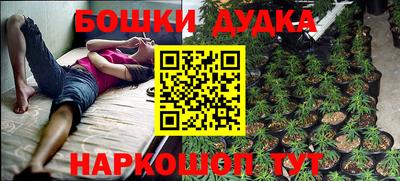 прущие крисы Кингисепп