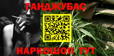прущие крисы Кингисепп