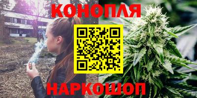 гашик Кимры