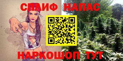 прущие крисы Кингисепп