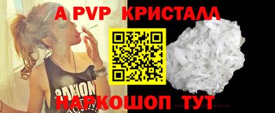прущие крисы Кингисепп